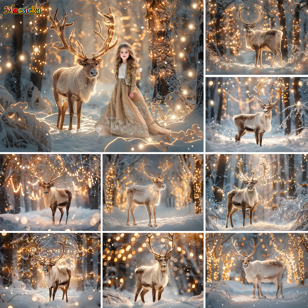 Photography Natural Lighting - Winter Snow Scenes Photography Background Studio